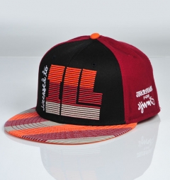 “Licensed To Ill” Snapback